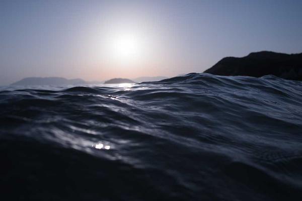 Welcome to THE MERVIN PREGULMAN FOUNDATION